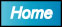 Home Button